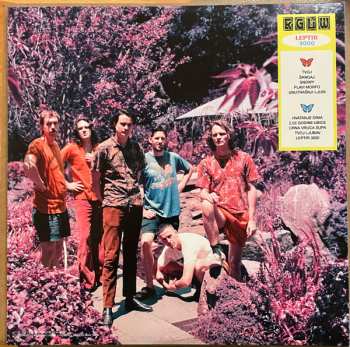 LP King Gizzard And The Lizard Wizard: Leptir 3000 CLR 608400