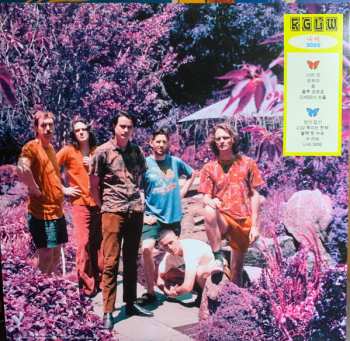 LP King Gizzard And The Lizard Wizard: 나비 3000 614525