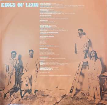 LP Kings Of Leon: Can We Please Have Fun CLR | LTD 607480