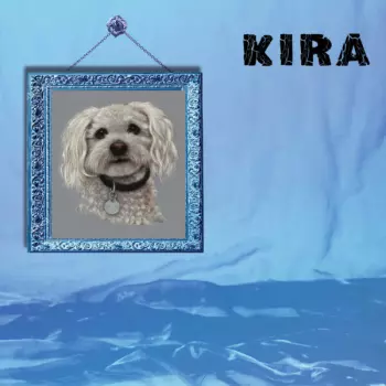 Kira Roessler: Kira