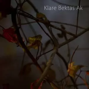 Jan Klare: Klare Bektas Ak