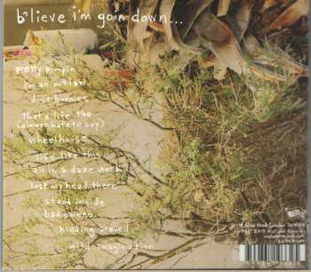 CD Kurt Vile: B'lieve I'm Goin Down... DIGI 3268