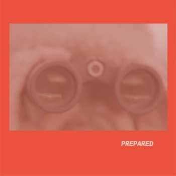 Album Laura J Martin: Prepared