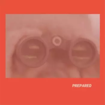 Laura J Martin: Prepared