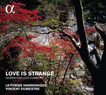 Album Pierre Hantaï: Love Is Strange