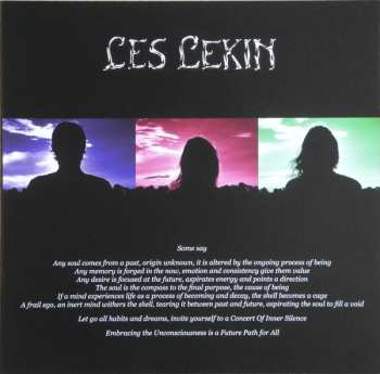 LP Les Lekin: Died With Fear LTD | CLR 74591