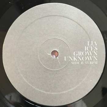 LP Lia Ices: Grown Unknown 66366