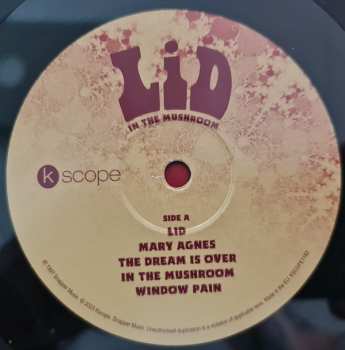 LP Lid: In The Mushroom 562724