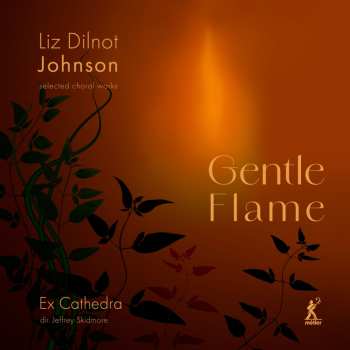 CD Liz Dilnot Johnson: Chorwerke "gentle Flame" 619692