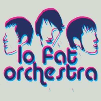 CD Lo Fat Orchestra: Questions For Honey 651579