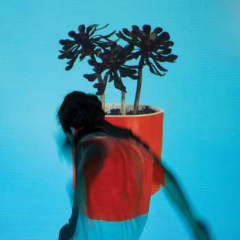 Album Local Natives: Sunlit Youth