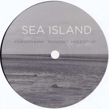 2LP Loscil: Sea Island 653992