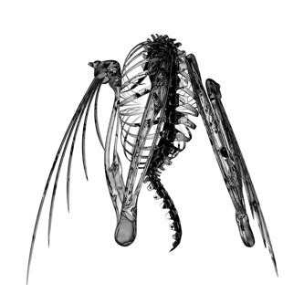 Lotic: Heterocetera