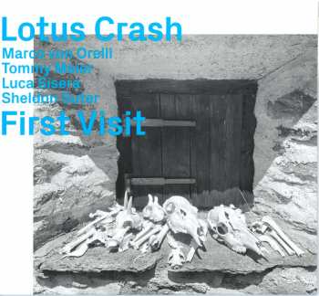 Album Lotus Crash: First Visit