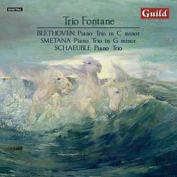 Album Ludwig van Beethoven: Trio Fontane