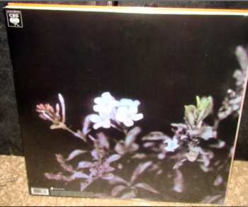 LP Luis Alberto Spinetta: A 18' Del Sol 645932