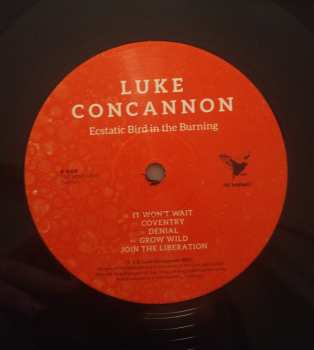 LP Luke Concannon: Ecstatic Bird In The Burning 141244