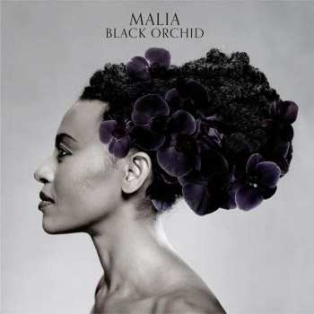 Album Malia: Black Orchid