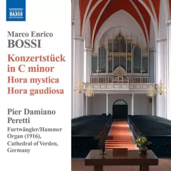 Konzertstück in C Minor, Hora Mystica, Hora Gaudiosa