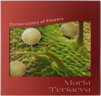 LP Maria Teriaeva: Conservatory Of Flowers LTD | NUM 477480