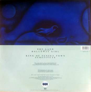 LP Marillion: Dry Land PIC 651192