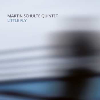 Album Martin Schulte: Little Fly