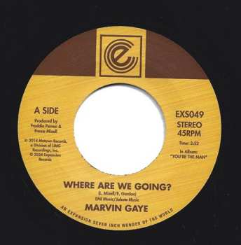 Marvin Gaye: Where Are We Going? / Woman Of The World