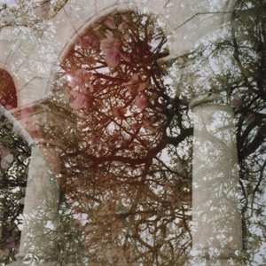 LP Mary Lattimore: Gainer CLR | LTD 564490