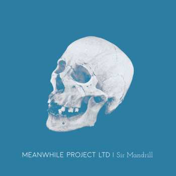 Album Meanwhile Project Ltd: Sir Mandrill