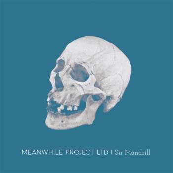 LP Meanwhile Project Ltd: Sir Mandrill 620621