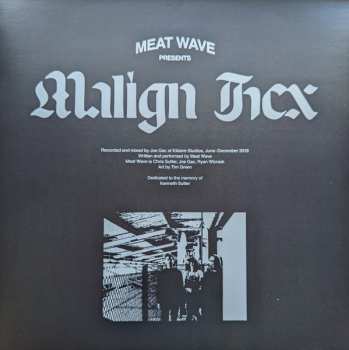 LP Meat Wave: Malign Hex 587747