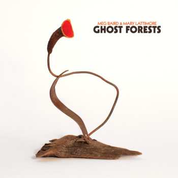 Album Meg Baird: Ghost Forests