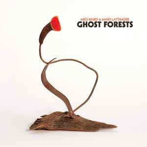 LP Meg Baird: Ghost Forests CLR | LTD 589056