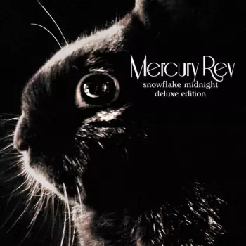 Mercury Rev: Snowflake Midnight