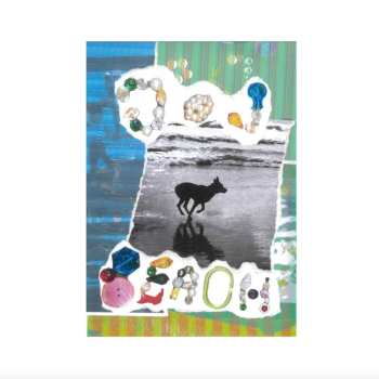 Album Merryn Jeann: Dog Beach