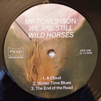 LP MF Tomlinson: We Are Still Wild Horses 576509