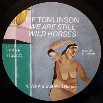 LP MF Tomlinson: We Are Still Wild Horses 576509