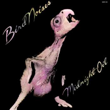 Album Midnight Oil: Bird Noises