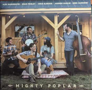 LP Mighty Poplar: Mighty Poplar 582027