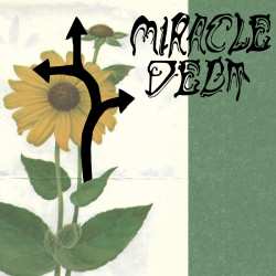 LP Miracle Debt: Under The Shadow 626994