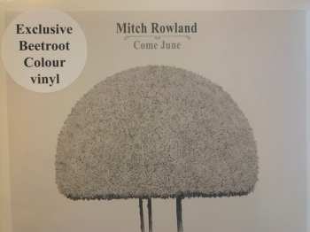 LP Mitch Rowland: Come June 611785