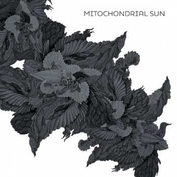 LP Mitochondrial Sun: Mitochondrial Sun CLR 229593