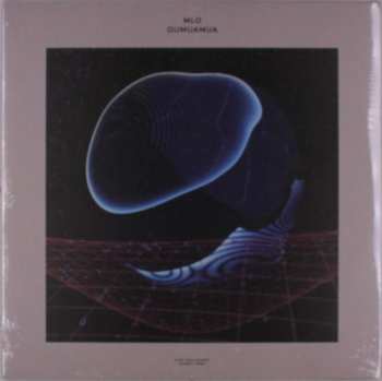 2LP MLO: Oumuamua 613282