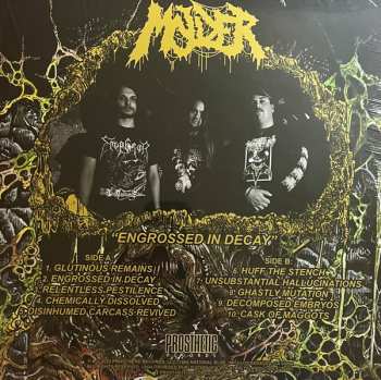 LP Molder: Engrossed In Decay CLR | LTD 555136