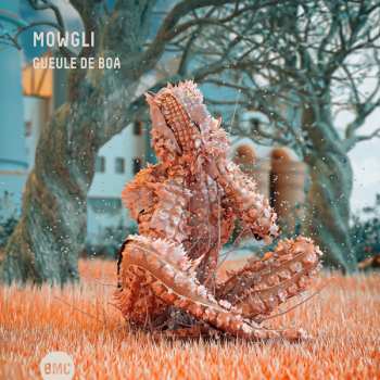 CD Mowgli: Gueule De Boa 532317