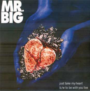 5SP Mr. Big: Lean Into It - The Singles PIC | LTD | CLR 605857