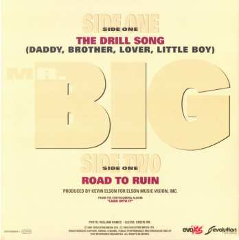 5SP Mr. Big: Lean Into It - The Singles PIC | LTD | CLR 605857