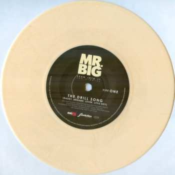 5SP Mr. Big: Lean Into It - The Singles PIC | LTD | CLR 605857