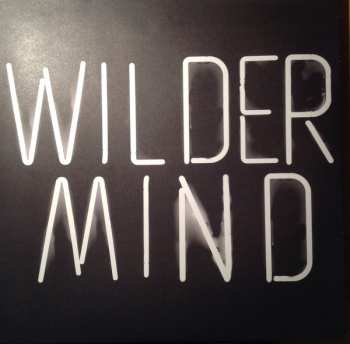 LP Mumford & Sons: Wilder Mind 40437