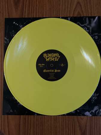 LP Municipal Waste: Electrified Brain CLR | LTD 611346